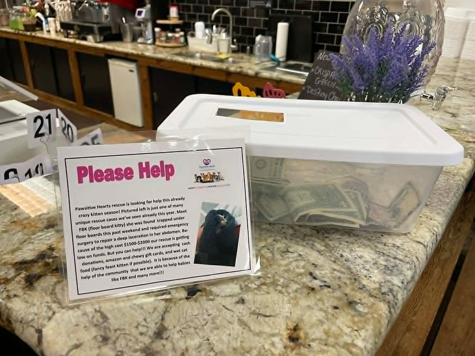 clear bin with white top holding money next to a please help sign