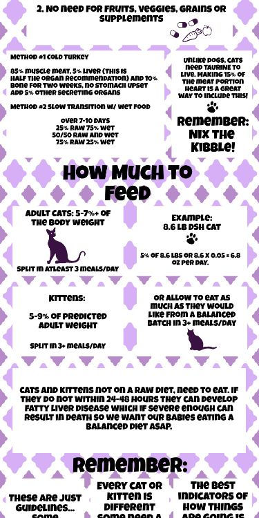 Prey Model Raw Sphynx Starter Guide