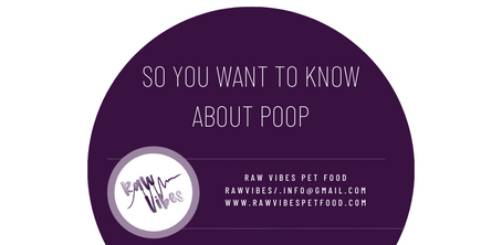 So You Want to Know about Poop