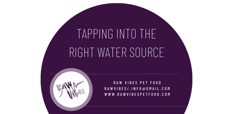 Tapping into the Right Water Source