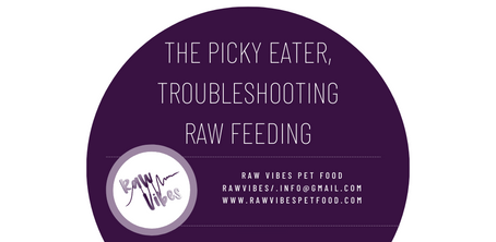 The Picky Eater, Troubleshooting Raw Feeding