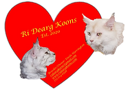 Ri Dearg Red Heart Logo with two maine coon cats a grey maine coon and a white maine coon with yellow lettering