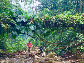 Learning leadership skills through adventures in the Amazon Rain Forest