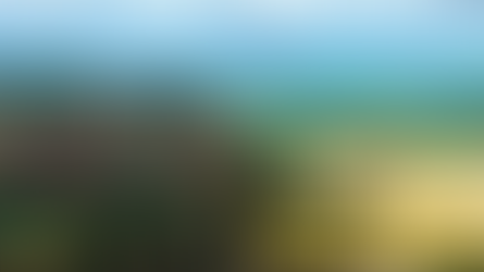 Marco Zero traz reportagem sobre bioma exclusivo do Brasil: a Caatinga