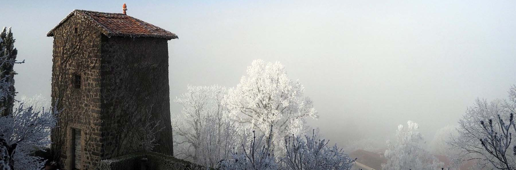 © Jean-Claude Millot