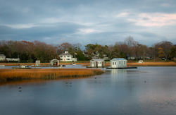 November Plexes