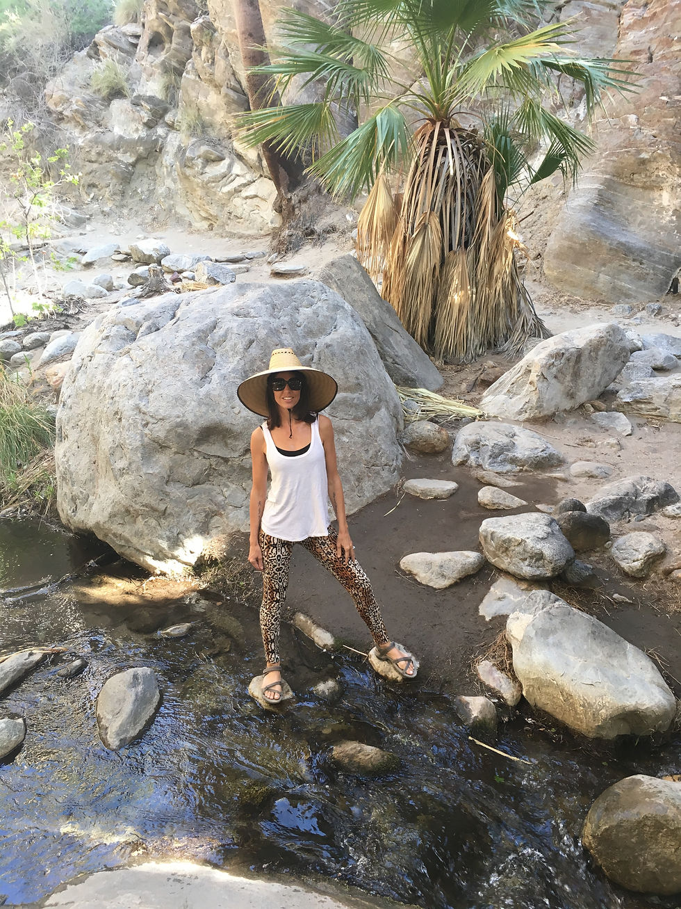 palm springs fabulous