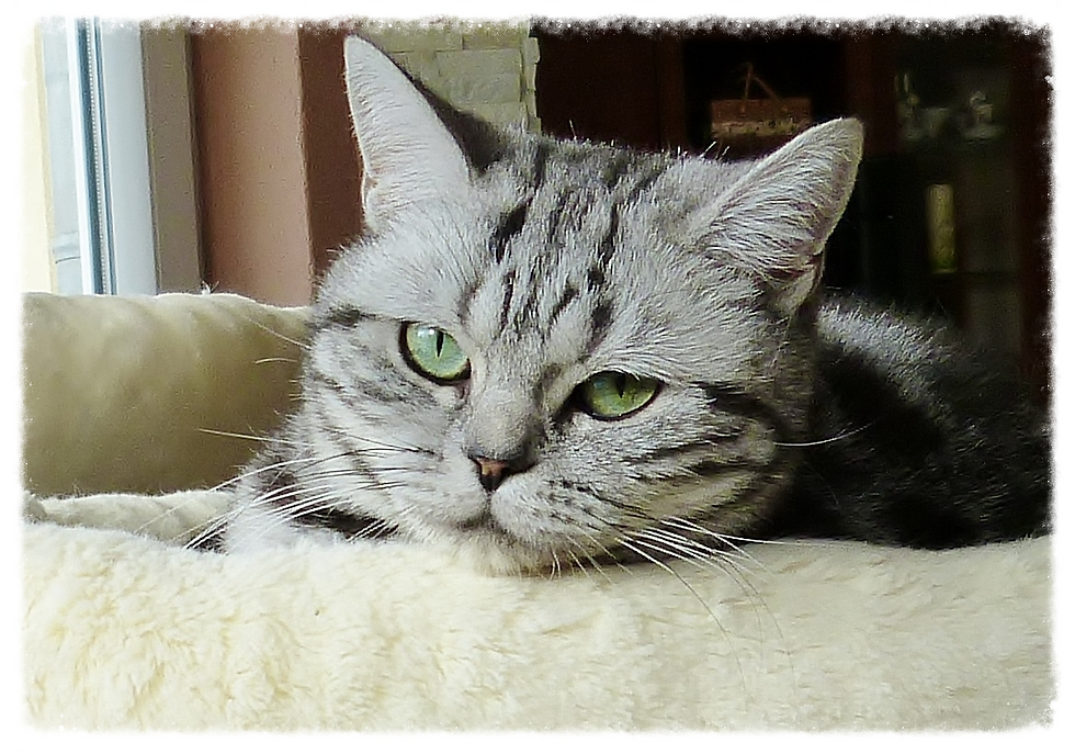 Ashley 2 Jahre