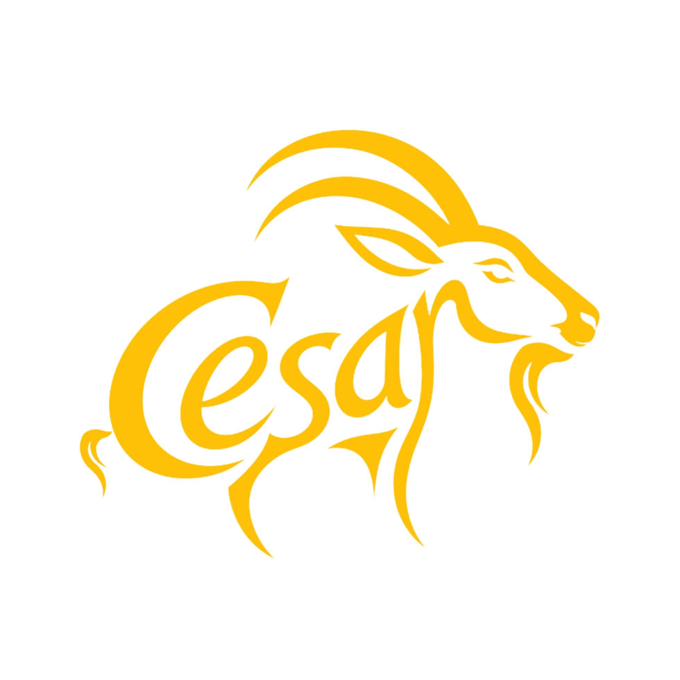 Cesar icon