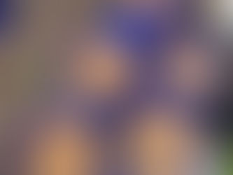 Innovative Techniques for Growing Mushrooms Using Spent Blocks and Alternative Methods