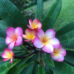 D0566E6B-ACA3-4846-A793-549440D6523A