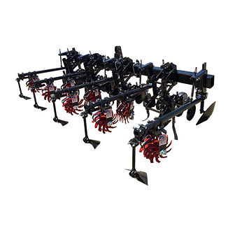 Lilliston Cultivator