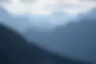 FP_banner_welkom.webp