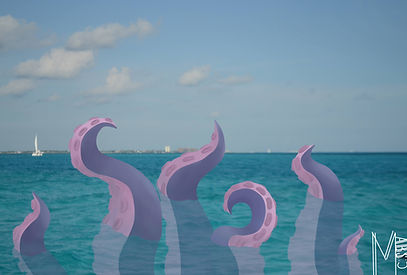28340334_1553305228098932_1967244614_o.jpg