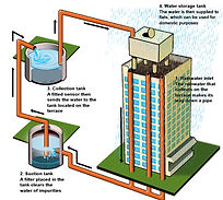 San Francisco Rain Water Harvesting Desi