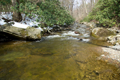 Pocono Mountains wild trout stream