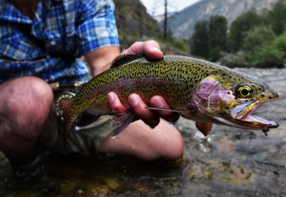 Fly fishing the Pocono Mountains
