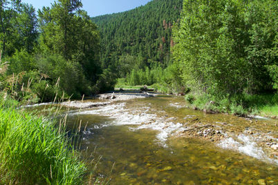 Fly fishing the upper Delaware River 