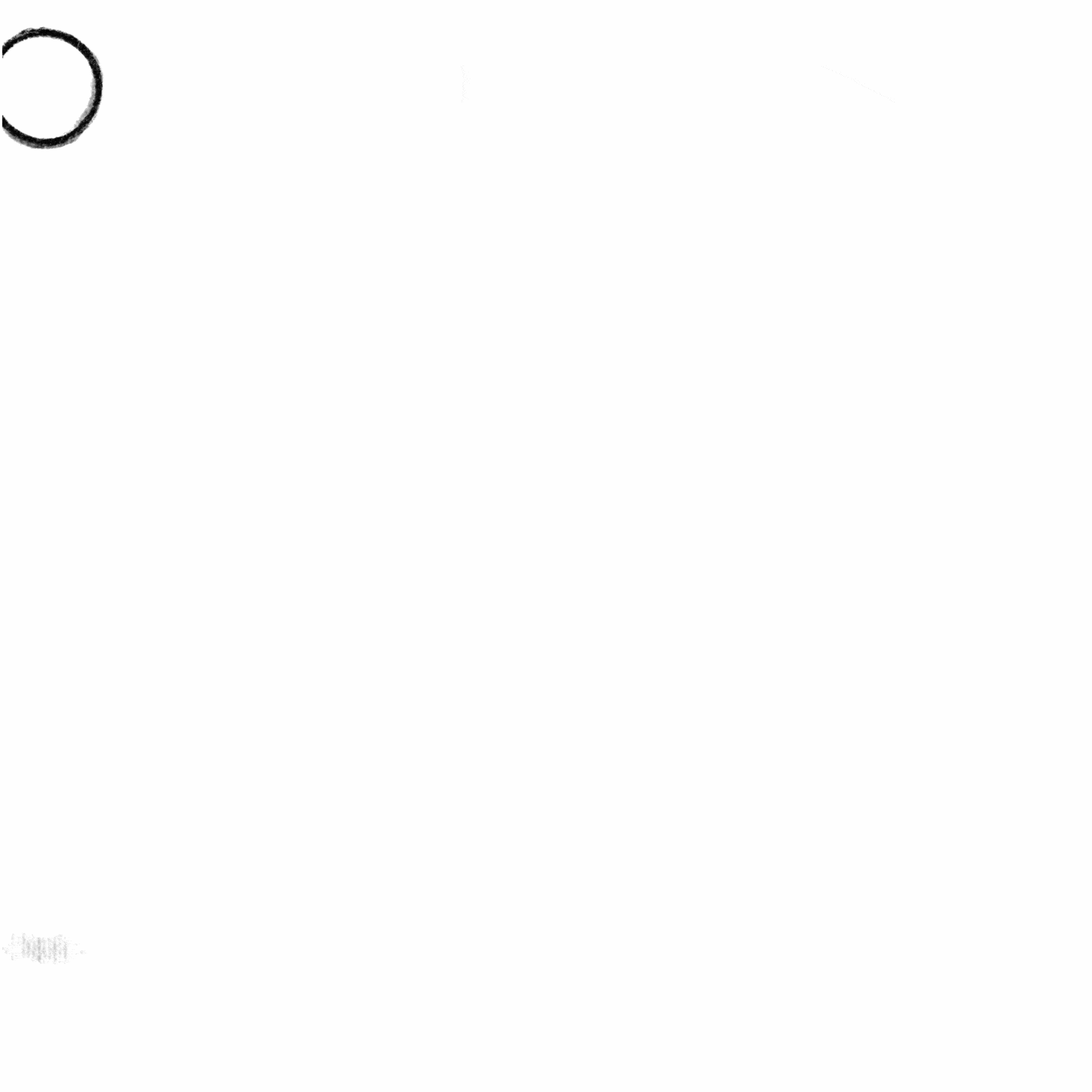 IMG_4640.gif