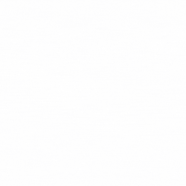 Visualizations3.gif