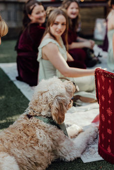 dog at wedding reception in nc