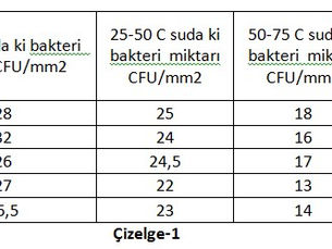 Tesadüf Blokları Tertibi, İki Yönlü Varyans Analizi Uygulaması-Özkan HİZAROĞLU
