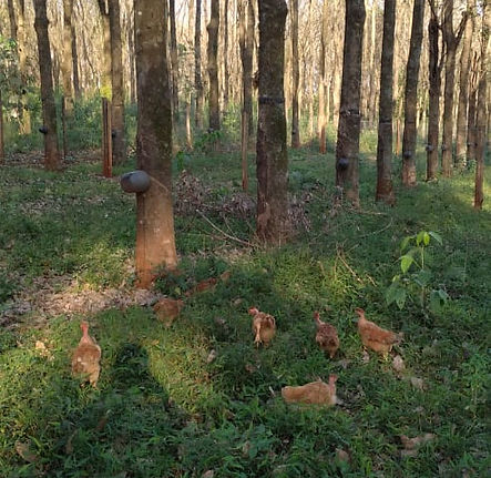 WhatsApp Image 2021-07-14 at 09.30.42 (3).jpeg