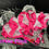 Thumbnail: Pink Collection Satin Diamante Frilly Tutu Stack Bow Ankle Sock
