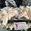 Thumbnail: Neutral Organic Blush Collection Satin Diamante Frilly Tutu Bow Ankle Socks