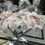 Thumbnail: Rosebud Tutu Romany Heavily Extra Frilly Lace Bow Socks