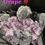 Thumbnail: Purple Collection Satin Diamante Frilly Tutu Stack Bow Ankle Sock