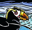 Tufted Puffin.cc.300.jpeg