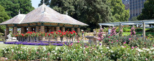 Royal Botanic Gardens - Rose Pavilion