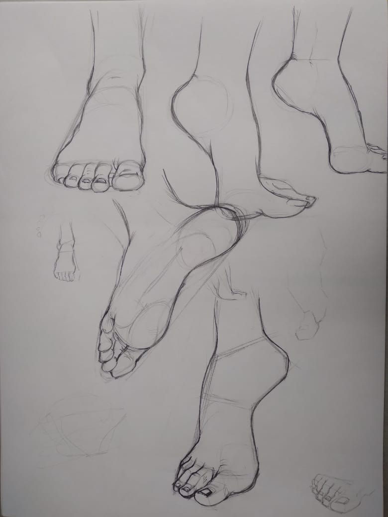 figure study