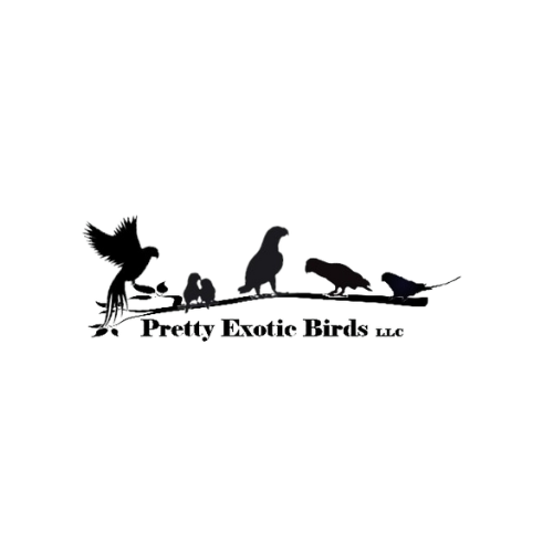 Pretty Exotic Birds LLC logo