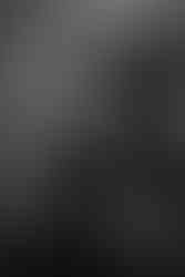 Belfast city hall wedding ceremony