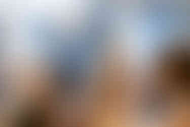 Drenagh Estate Wedding Photographer