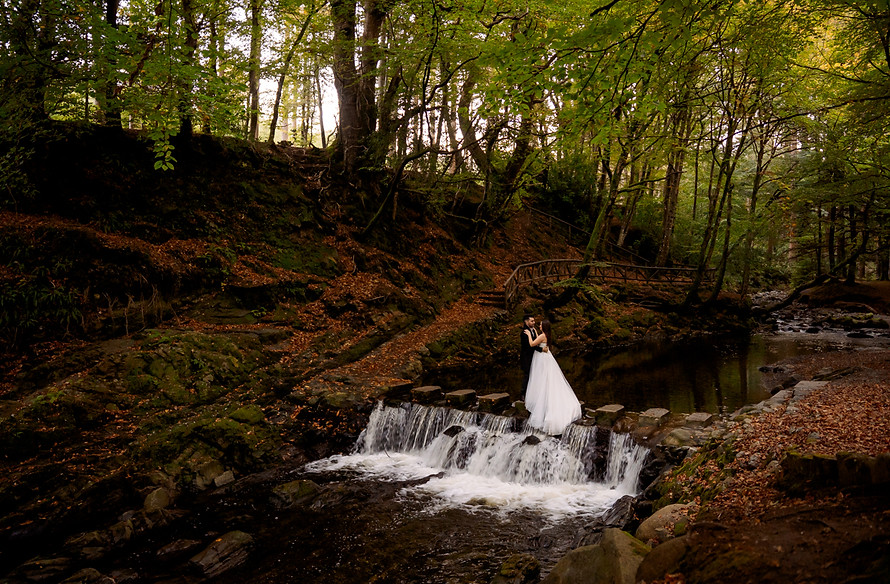 36-alisa lymanska photography.jpg