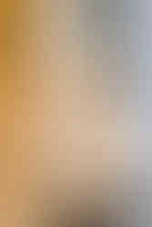 Drenagh wedding photographer