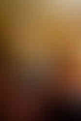 Drenagh wedding photographer