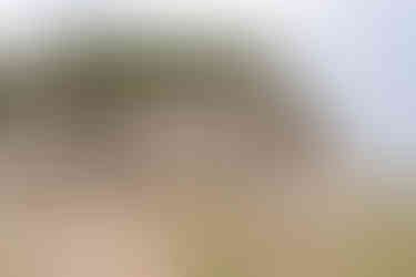 couple photoshoot in Ireland