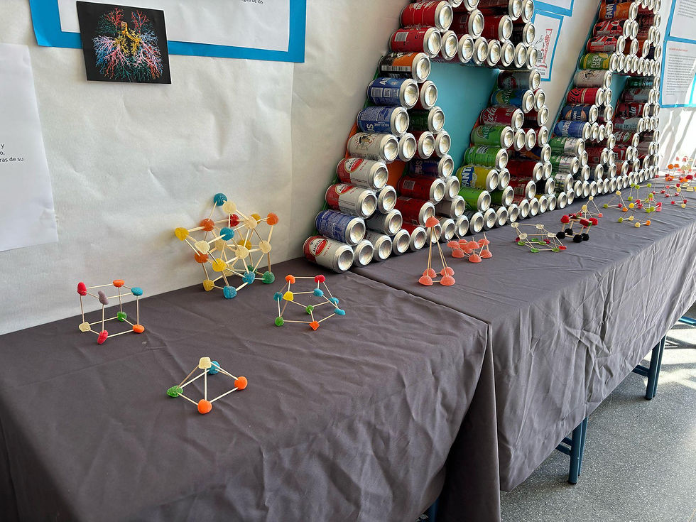 250314 Matemáticas 5