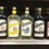 Thumbnail: Dr.McGillicuddy’s