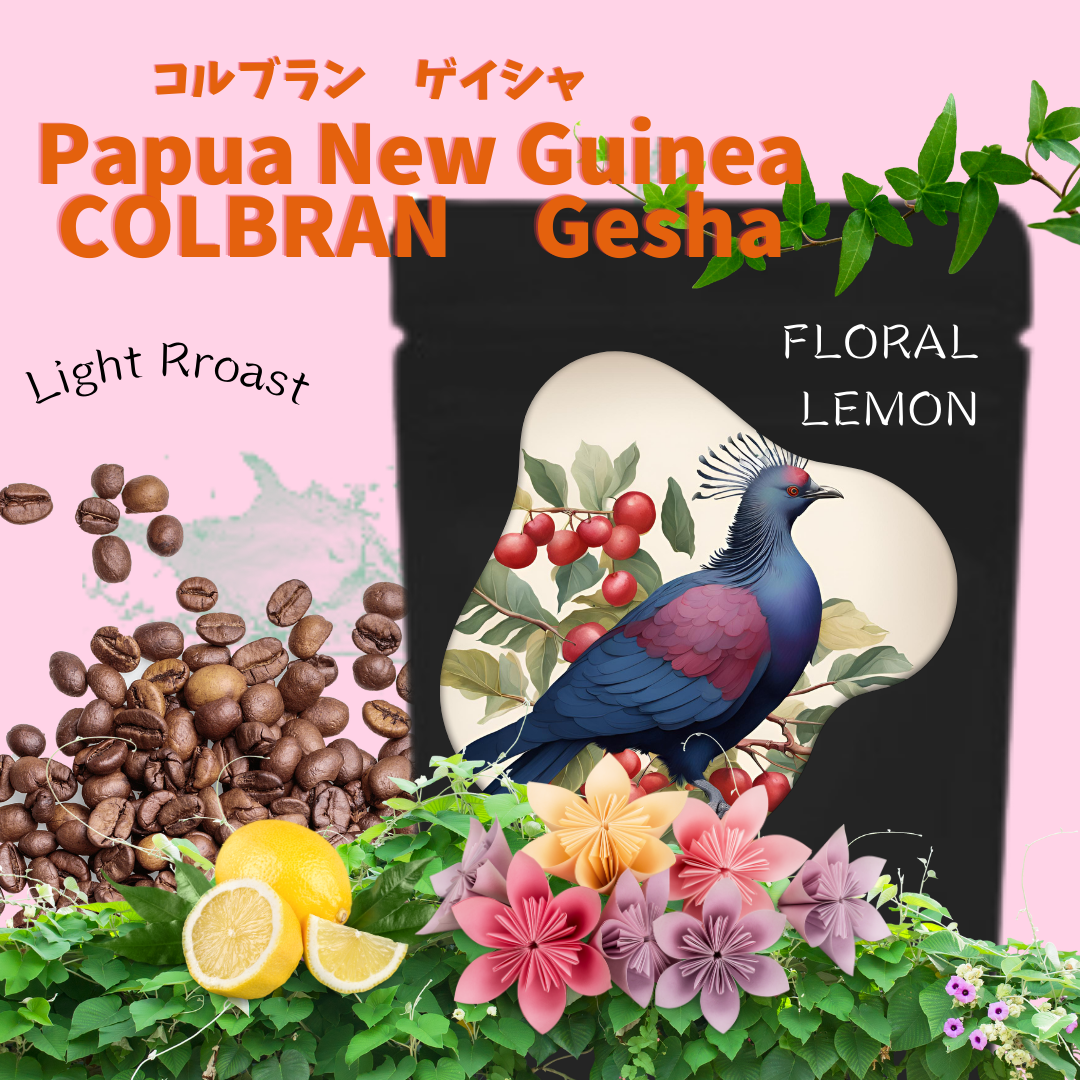 コルブラン　ゲイシャ　パプアニューギニア