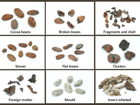 What does "cocoa quality" actually mean?