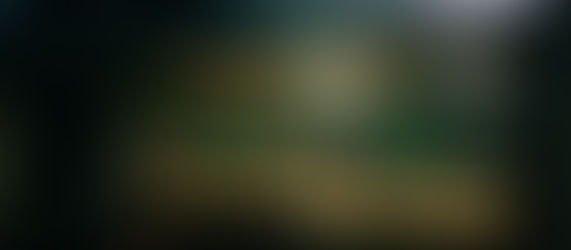 Así es “El Lirón”: La nueva cafetería friki que acaba de abrir sus puertas en el corazón de Montequinto