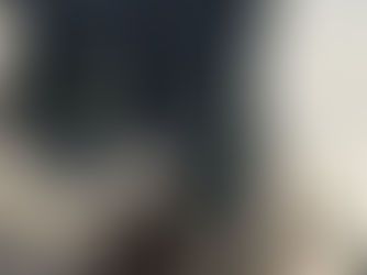 Blacksad, de Juan Díaz Canales y Juanjo Guarnido. El lado salvaje del noir