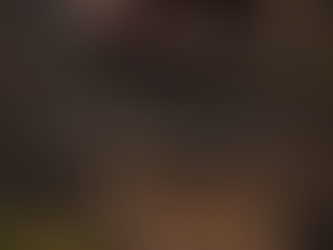 Safari Excellence Is Not What You Think