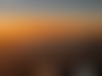 Taking Safari Further: Our Aviation Partnership with Air du Cap