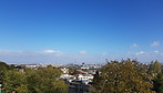 20261025_110514.jpg